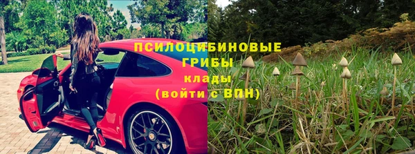 прущий лед Михайловка