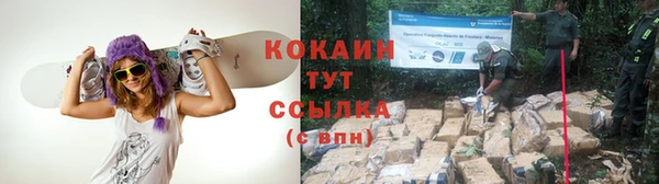 PSILOCYBIN Михайловск
