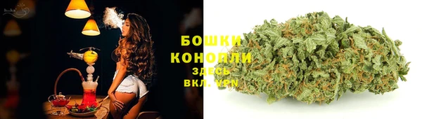 PSILOCYBIN Михайловск