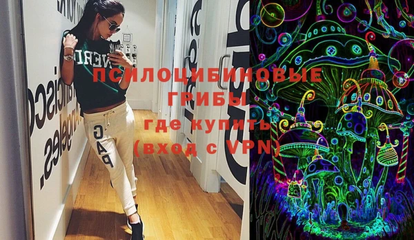 PSILOCYBIN Михайловск